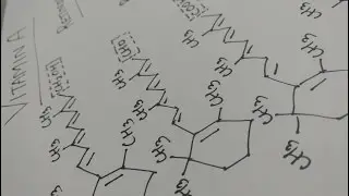ALL ABOUT VITAMIN A e-STUDY