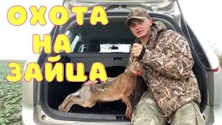 ОХОТА НА ЗАЙЦА