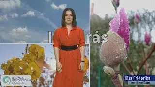 A megnyugvás kora