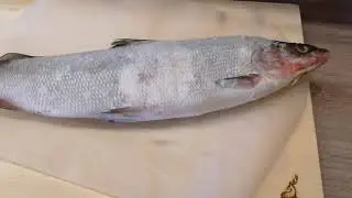 Рыба муксун как выбрать