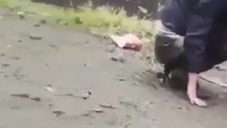 В гости