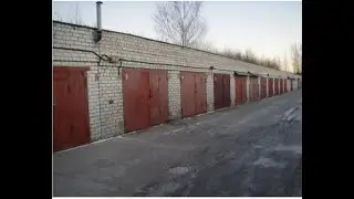 Сюрприз в погребе..)