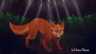Animation practice, company