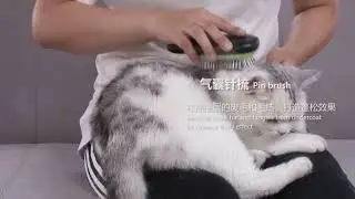 3-in-1 Pet Grooming Brush: The Ultimate Grooming Tool for Cats & Dogs