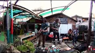 360 - Jungle of Mischief