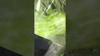 Ikit Claw Nukes himself