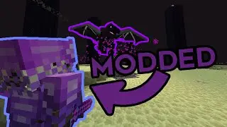 How Hard Is The Ender Dragon With 200 MODS?