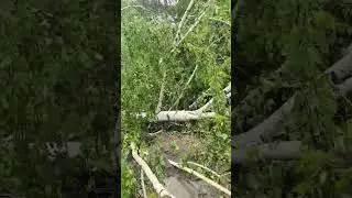 Везение да и только😁