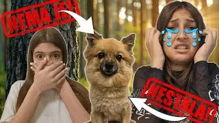 NAŠA MILA JE NESTALA!!! Nije fake!