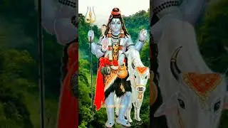 Bholenath baba ka darshan l shubh l #mahakal #mahadev #alightmotion