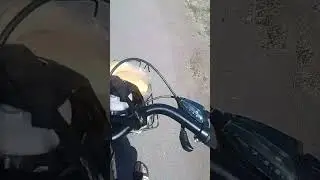 обзор корзинки на велосипед