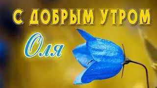С ДОБРЫМ УТРОМ, ОЛЬГА! ПРЕКРАСНОГО ДНЯ И ОТЛИЧНОГО НАСТРОЕНИЯ! КРАСИВАЯ МУЗЫКАЛЬНАЯ ОТКРЫТКА ТЕБЕ!