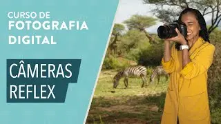 CURSO BÁSICO DE FOTOGRAFIA: Quais são as câmeras reflex e para quem são indicadas