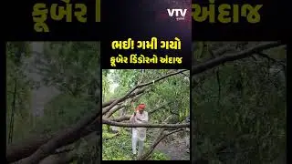 VIDEO : મહીસાગરમાં કુહાડી લઈ કામે વળગ્યાં શિક્ષણ મંત્રી ડિંડોર, આફતમાં આ જ સાચી મદદ