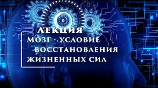 Цзе Кун. Мозг - условие восстановления жизненных сил