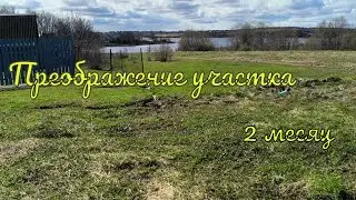 Как мы преображали дачный участок