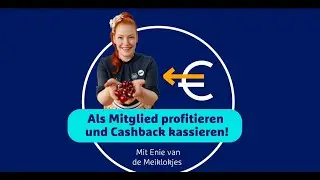 Enie erklärt – Mitgliedschaft und Cashback 2024