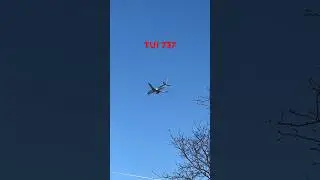 TUI 737 heading to Mitchell International #tui #airlines #airport #plane #airplane #plane #fyp