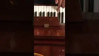 Дэви Джонс (На пианино)