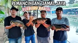 BERBURU BABON IKAN MAS DI PEMANCINGAN JAMAL JAYA