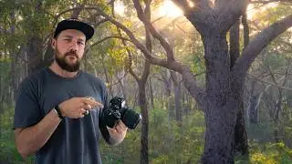 Australian Landscape Photography | The CHAOTIC Woodlands
