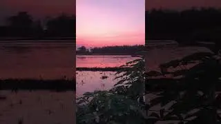#sunset