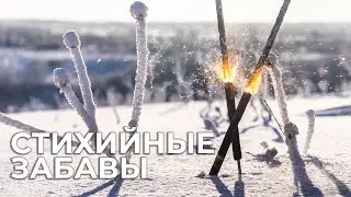 Стихийные забавы 2024