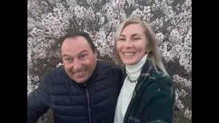 В ИСПАНИИ цветёт МИНДАЛЬ/такая у нас ЗИМА/