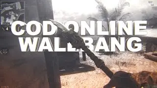 My Insane Double Wallbang (Cod Online)