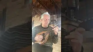 Sound Sample Vinaccia mandolin, Napoli 1920