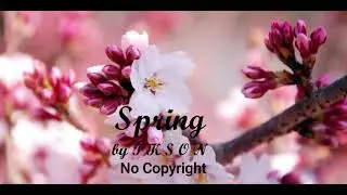 Ikson - Spring (Vlog No Copyright Music)