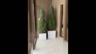 Озеленение КСК Изумрудный Лес