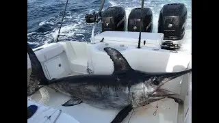 Pelagic girls go Swordfishing