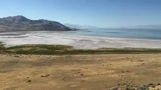 Antelope Island State Park