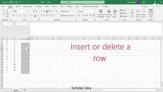 How to Insert or delete rows and columns in Excel?