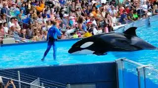 NEW SEA WORLD ORLANDO FLORIDA 2018 ONE OCEAN SHAMU