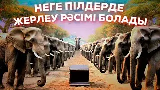 ПІЛДЕР ТУРАЛЫ СІЗ БІЛМЕГЕН 33 ШЫНДЫҚ