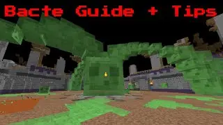 BACTE fight and tips - Hypixel Skyblock Alpha - The Rift