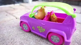 Lps: Day at the Park