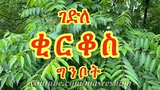 ገድለ ቂርቆስ ግንቦት - Gedile Kirkos  - Ginbot