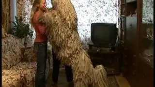 Собака Командор-Златогор. 10.2007