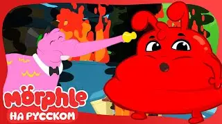 Морфл в огне!🔴Морфл и волшебные питомцы🔴мультики для детей