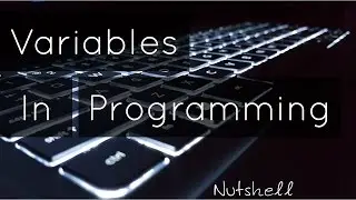 Different Types Of Variables | Introduction To Programming