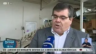 Vila de Rei | RTP1 em reportagem no Lagar
