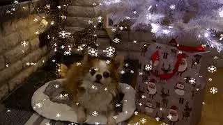 Holiday Greetings!