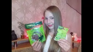 Покупки от TRIOL/Покупки из зоомагазина/От одной фирмы #1/Той-терьер Тайсон.