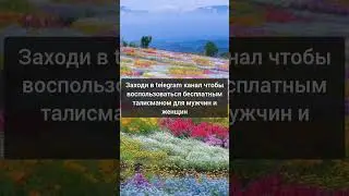 Хотят продлить этот талисман