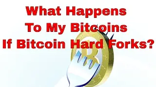 Bitcoin Hard Fork Explained | What is a Fork? What Happens to My Coins?