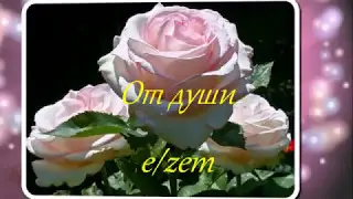 ОТ ДУШИ  !