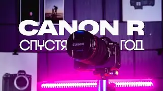 Canon R Experience After a Year